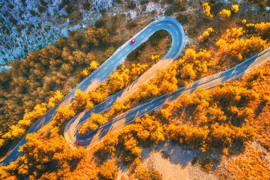 A road in autumn